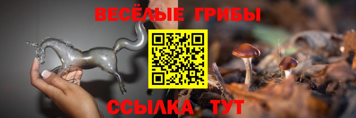 Псилоцибиновые грибы MAGIC MUSHROOMS  Вход с VPN  Ноябрьск 